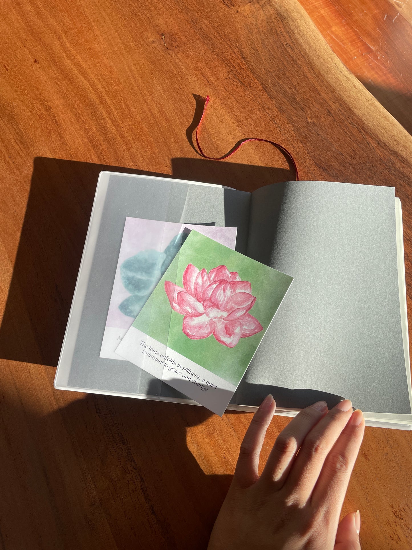 Pink Lotus Small Print