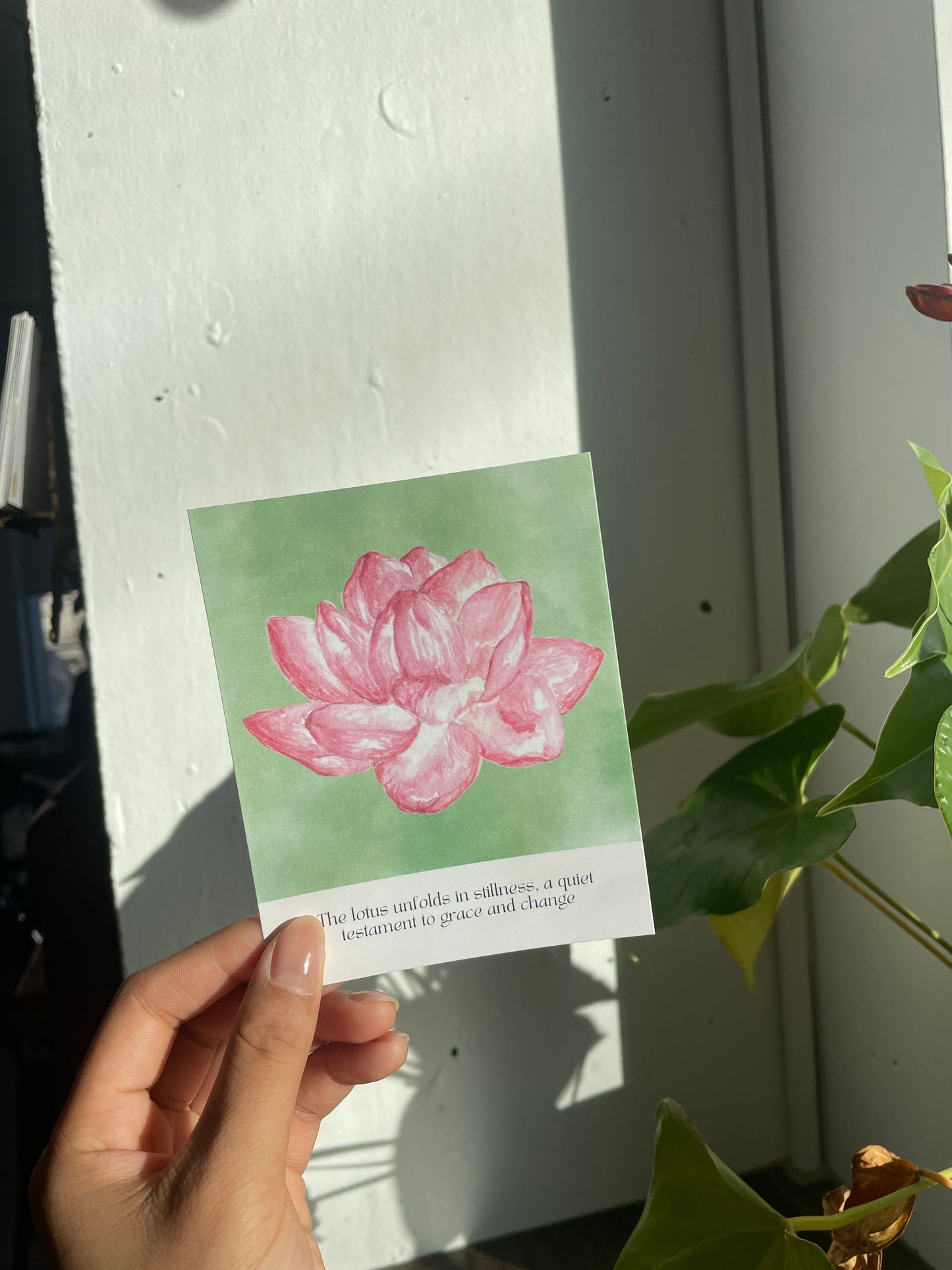 Pink Lotus Small Print
