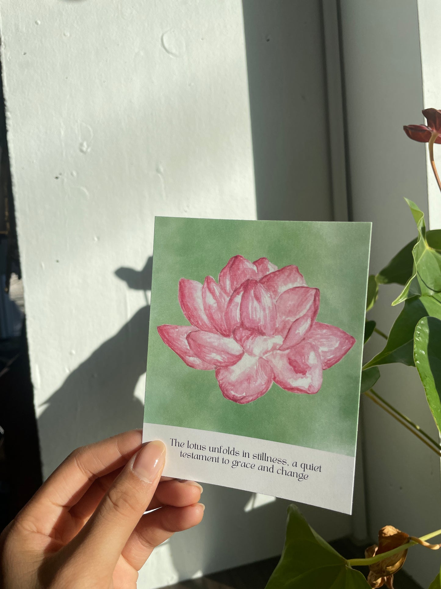 Pink Lotus Small Print