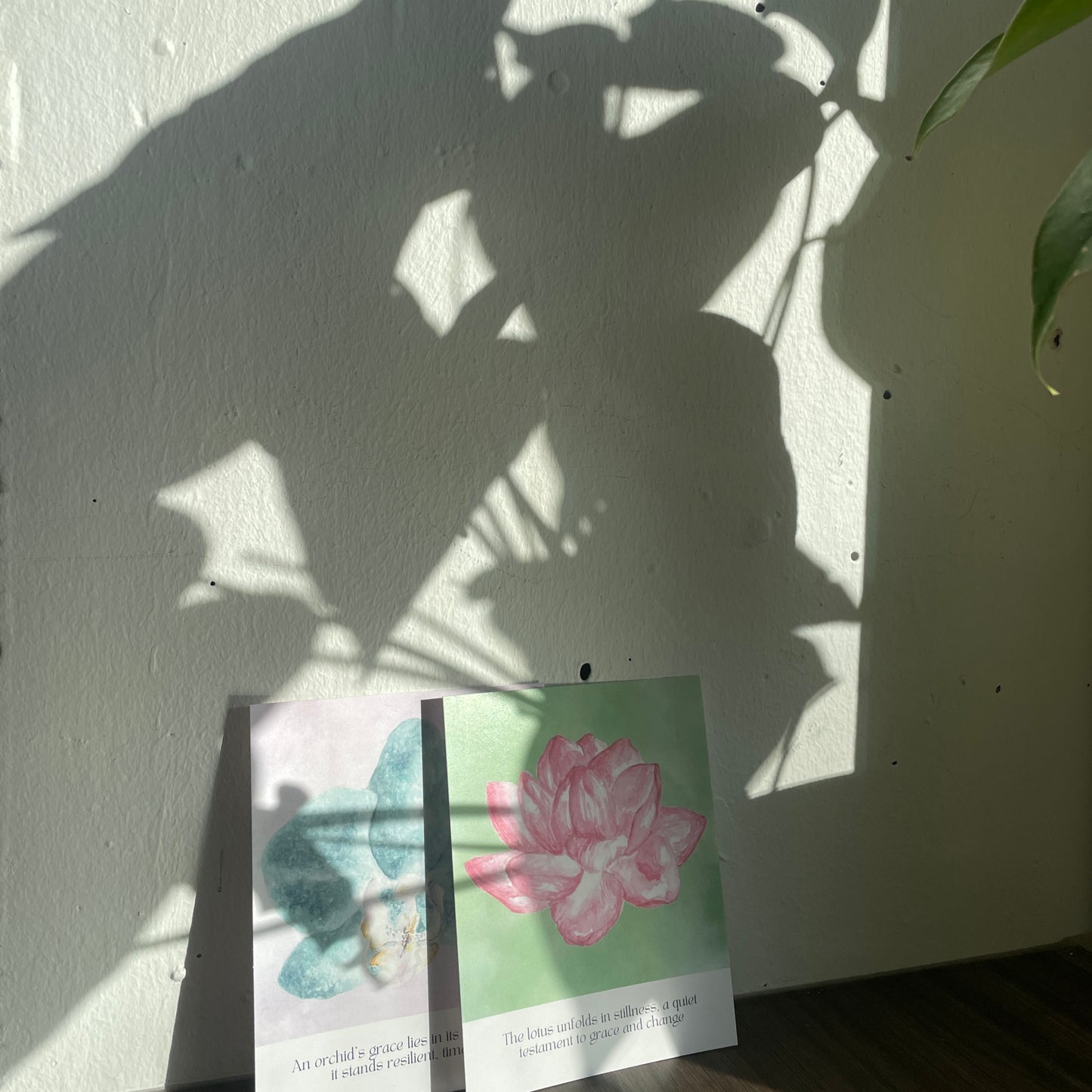 Pink Lotus Small Print
